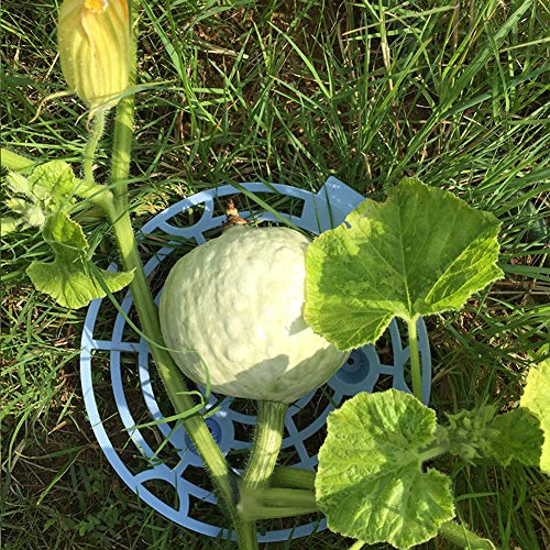 6Pack Strawberry Plant Supports Plastic Strawberry Growing Tool...