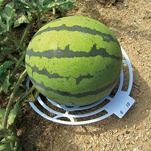 6Pack Strawberry Plant Supports Plastic Strawberry Growing Tool...