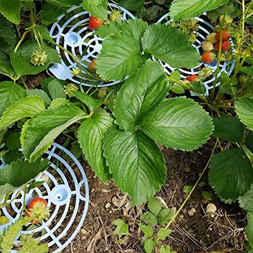 6Pack Strawberry Plant Supports Plastic Strawberry Growing Tool...