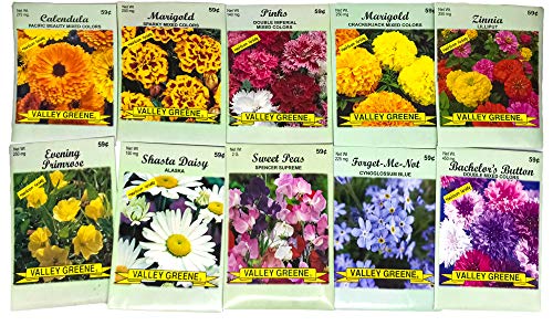Set of 50 Flower Seed Packets! Flower Seeds in Bulk, 15 or