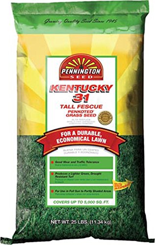 Pennington 100516055 Kentucky 31 Tall Fescue Grass Seed 25 LB 